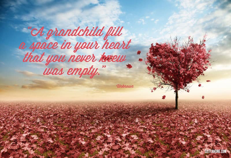 A grandchild fill a space in your heart that you never knew was empty. - Unknown