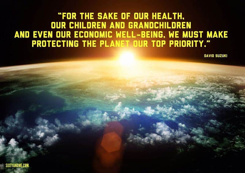 For the sake of our health, our children and grandchildren and even our economic well-being, we must make protecting the planet our top priority. - David Suzuki