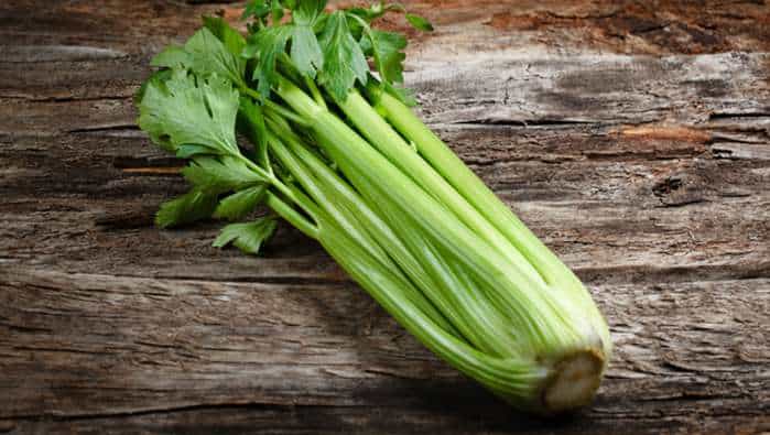 Celery