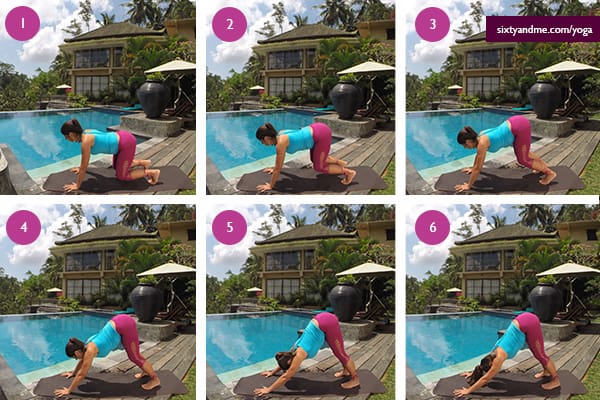 Yoga for Seniors Downward Facing Dog