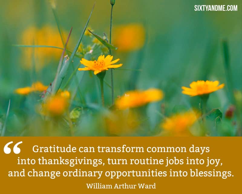 William Arthur Ward - Gratitude can transform common days into thanksgivings