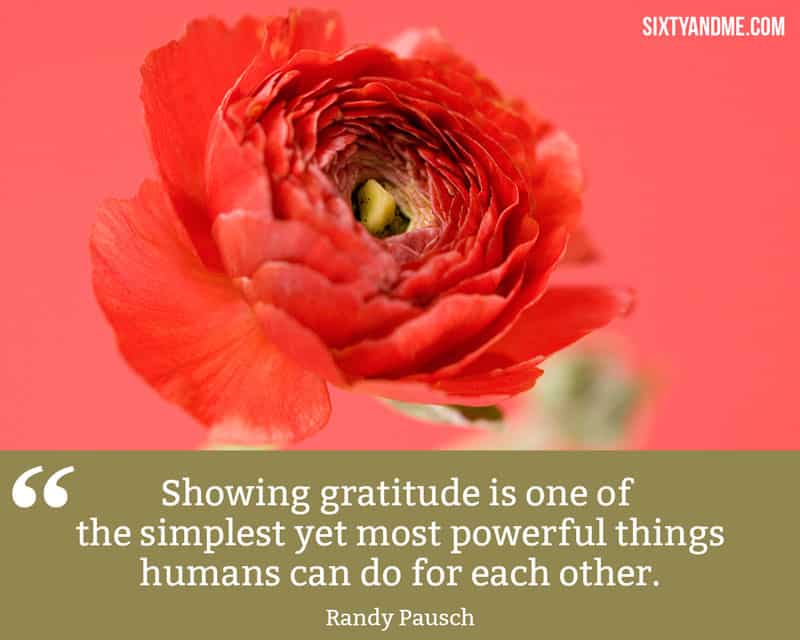 Being Grateful Quote - Randy Rausch - Showing gratitude is one of the most powerful things that humans can do for each other.