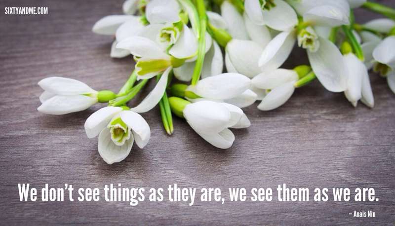 Anais Nin quote