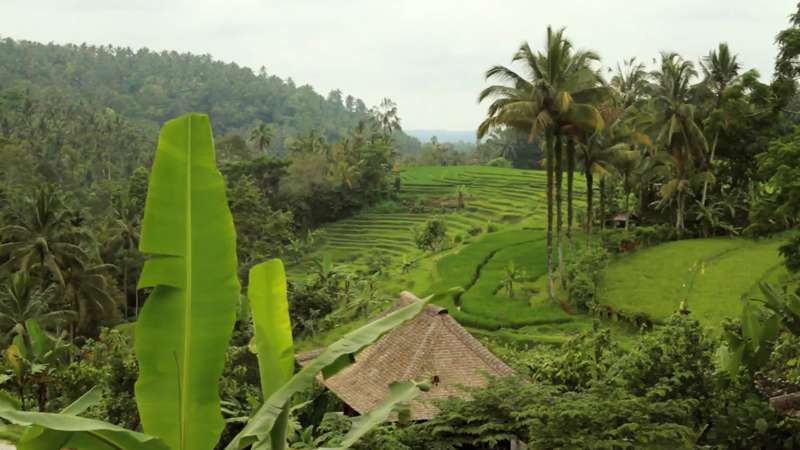 Bali Eco Stay