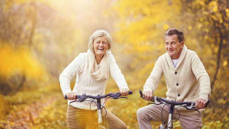 bikes for seniors 