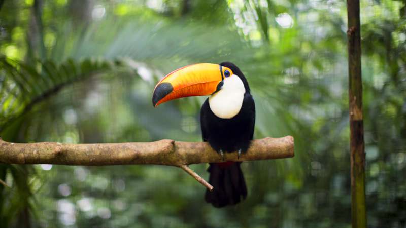 Costa Rica