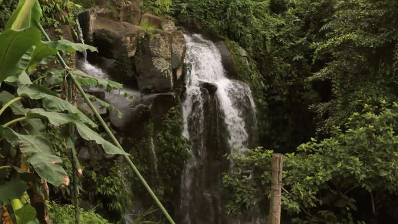 Bali Eco Stay