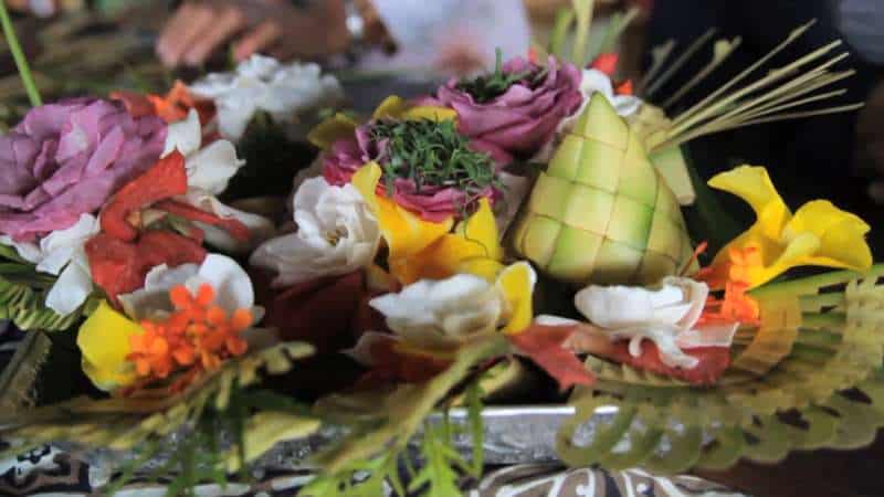 Bali Eco Stay