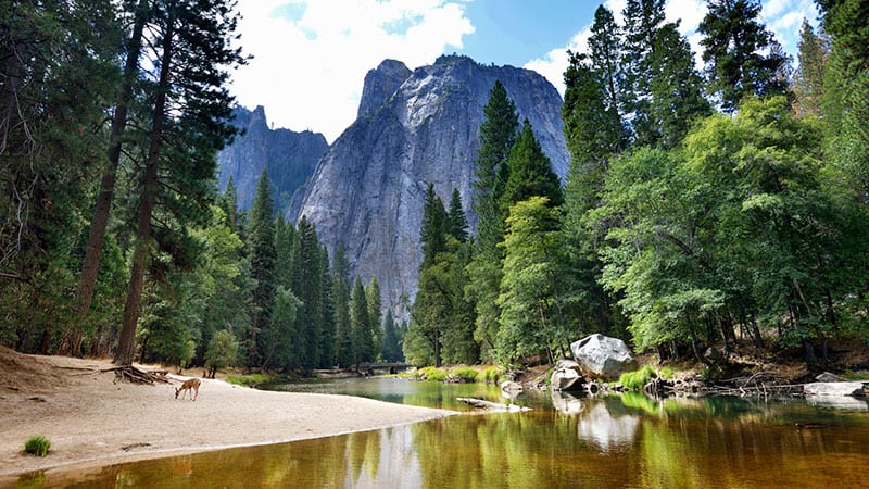 national parks