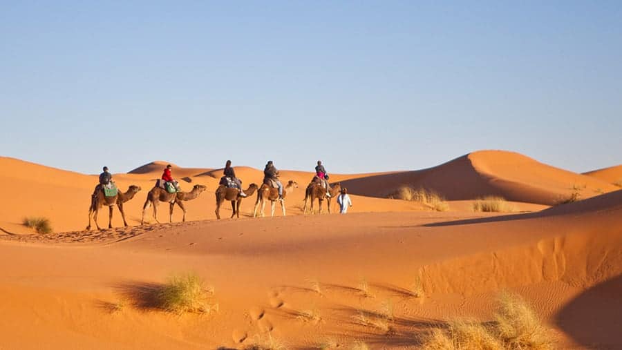 Senior Tours Morocco