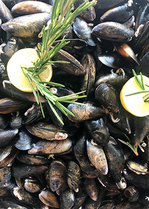 Viking Star Review - food