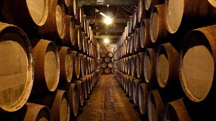 Trip-to-Porto-Portugal