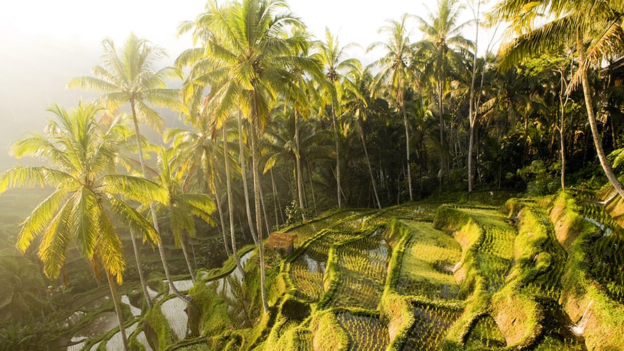 Traveling to Bali - 