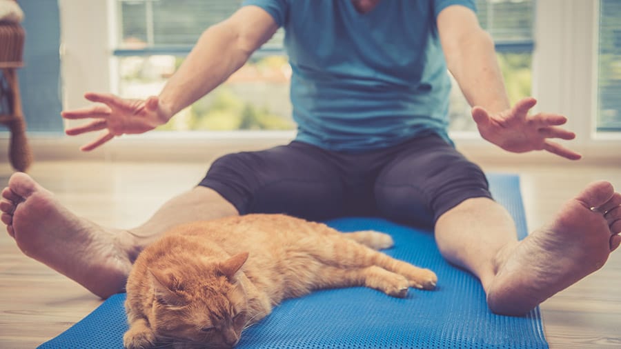 Yoga-trends-Animal-Yoga
