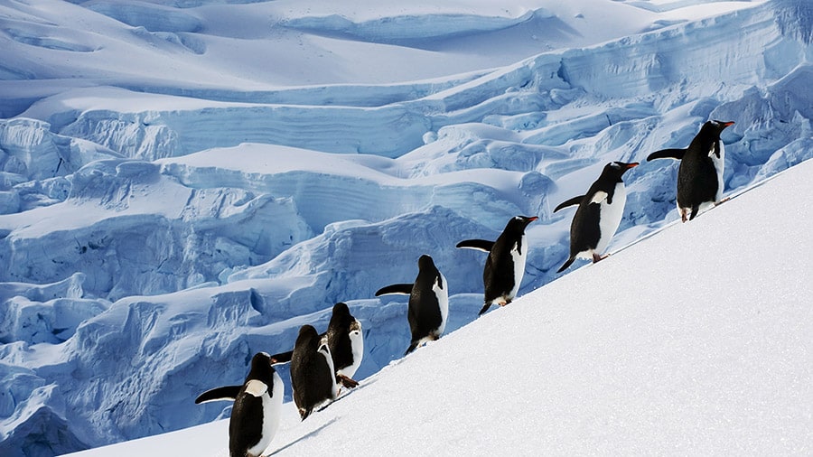 Journey to Antarctica