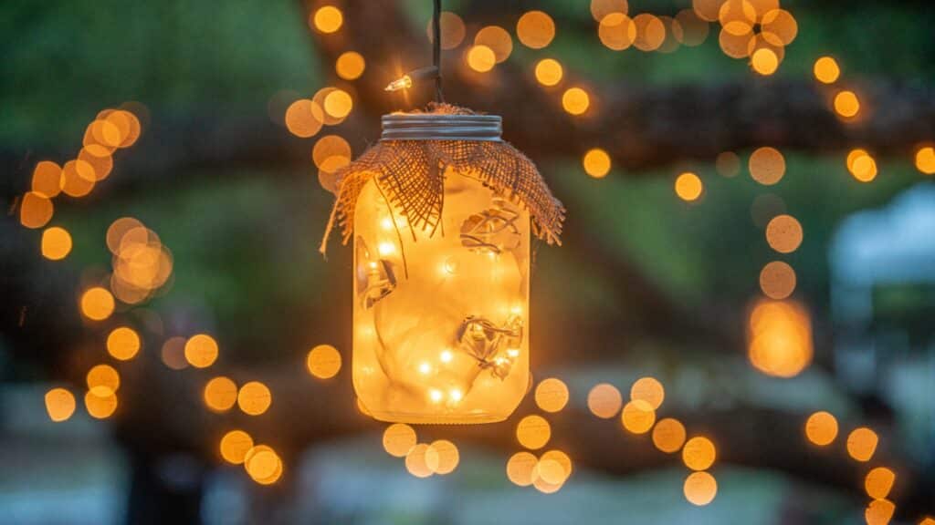 butterflies in a jar