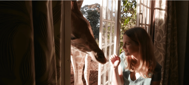 Giraffe Manor in Nairobi