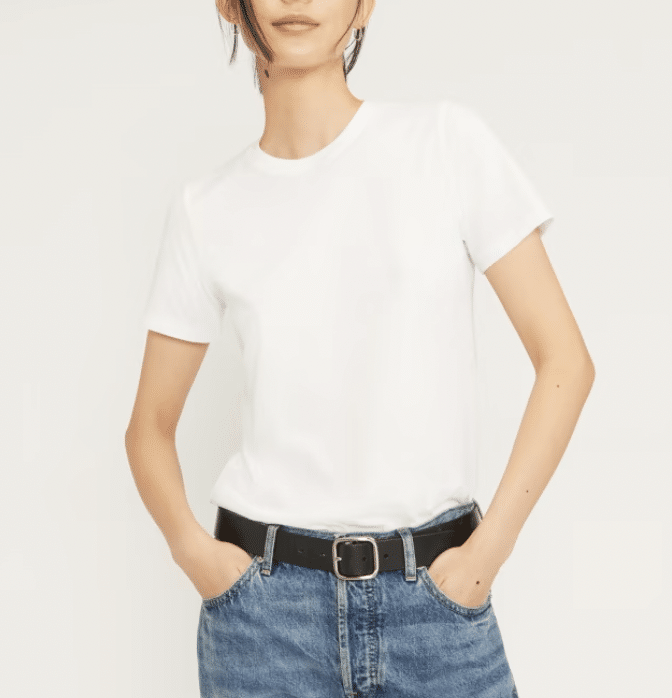 Everlane The Organic Cotton Crew