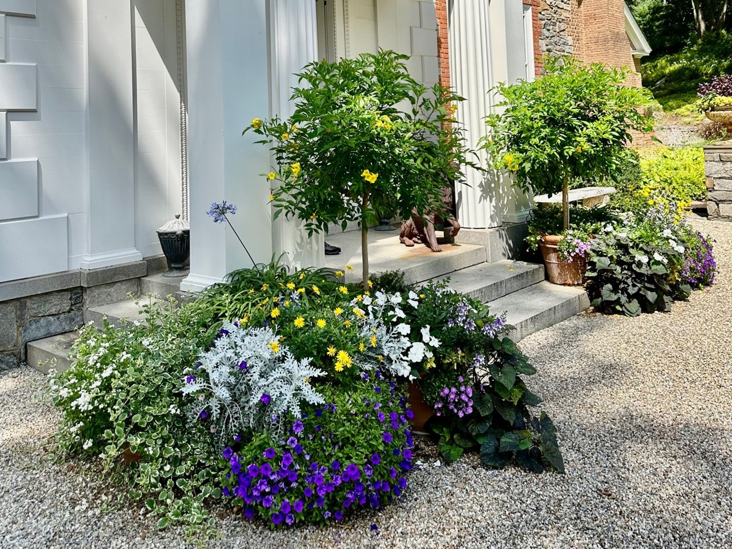 Grouping planters is a wonderful option if you have a small yard