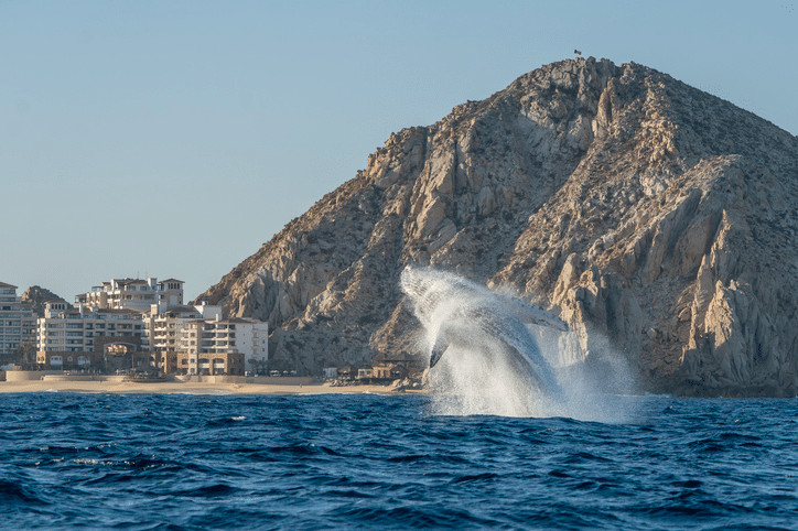 Cabo San Lucas, Mexico – Baja Dry Heat and Resort Ease