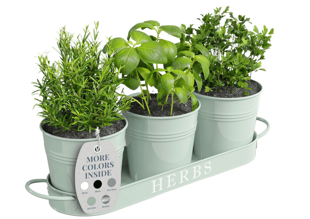 Barnyard Designs Indoor Herb Garden Planter Set with Tray