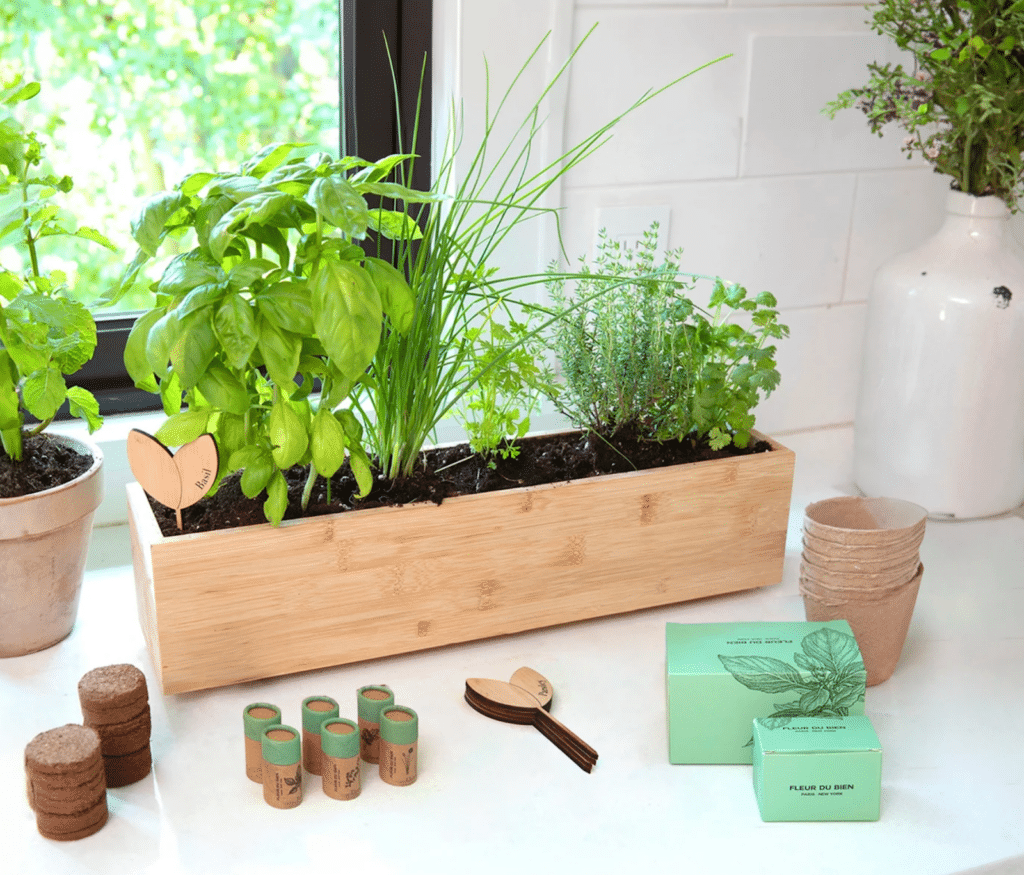 FLEUR DU BIEN Indoor Herb Garden Kit + Planter, 6 Herb Seed Packs